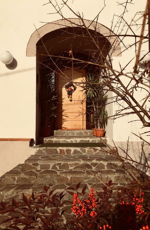 Casa Al Riccio Διαμέρισμα Capolona Εξωτερικό φωτογραφία